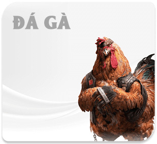 banner da ga 78win